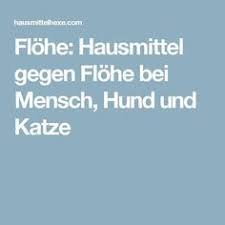 flohe hausmittel gegen flohe bei mensch hund und katze hausmittel gegen flohe hund und katze und hausmittel