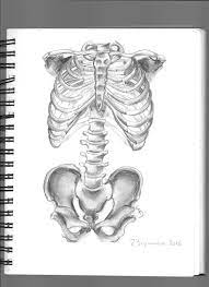 Pin On Pencil Sketches And Art