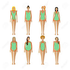 Learn about your natural physiology to better understand. Different Female Body Types Woman Body Figure Shapes Vector Royalty Free Cliparts Vectors And Stock Illustration Image 60047907