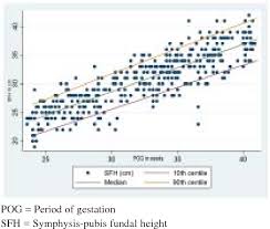 figure 1 from symphysis pubis fundal height charts to assess