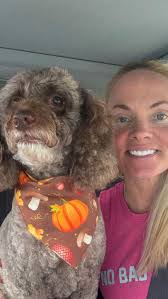 Day in the life of a photographer, content creator… and a freshly groomed  pup 🐾🎄 Between editing, shooting, and running my business, Ollie got a  little Christmas pampering at Muddy Paw's, and