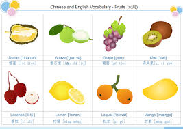 Here are the top 11 flashcards maker websites. Make Beautiful Flash Cards Easily