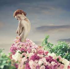 official selection elena vizerskaya photo retouching photo stock images free