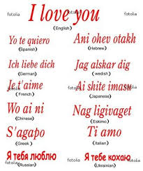 How To Say I Love You In Different Languages Pin By Lolamarion On Doodles In 2020 I Love You Languages Punjabi Love Quotes First Love Quotes