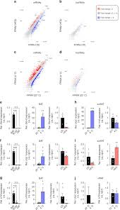 Lincrna H19 Protects From Dietary Obesity By Constraining