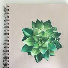 Lots of cacti) can be fun and will impress i was looking for a plant to draw for the base of my painting for my christmas presents to family members. Pin On Art