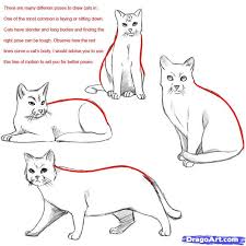 draw a cat realistic cat drawing warrior cat realistic drawings