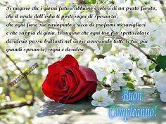 Ti Auguro Che I Giorni Futuri Abbiano I Colori Di Un Prato Fiorito A Class Pintag Searchlin Auguri Di Buon Compleanno Buon Compleanno Auguri Di Compleanno