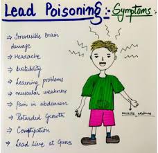 Image result for Lead Poisoning