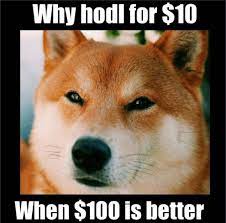 Dogecoin의 인기는 전년도에 비해 굉장히 안정적이었습니다. Unpusfte3nsy7m