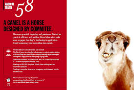 Information and translations of a camel is a horse designed by a committee in the most comprehensive dictionary definitions resource on the web. Camel Horse Designed By Commitee Dichos Y Bichos