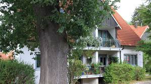 The mental hospital where william barrow was being kept. Eine Eiche Stort Im Wohngebiet Kulmbach Nordbayerischer Kurier