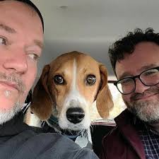 Fundraiser for William Addis by Sarah Murphy : Lydia's vet bills and  recovery