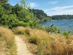 It's castle rock's newest trail and it's been made possible by generous donations to this foundation! Metal Detecting In Massachusetts
