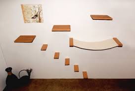 Cat Shelves Hammock Bed 5 Steps Set Wall Mounted Cat Etsy Dif you have some cats, you'll know that one of their favorite sports is sleeping.
