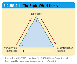 Langue And The Sapir Whorf Thesis Language Is Learned Through These 3 Steps Language Is Passed Down From Generations And Impac Sociology Hypothesis Language