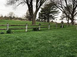 We did not find results for: Husker Lawn Service Home Facebook