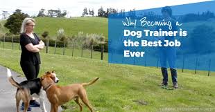 Check spelling or type a new query. 9 Reasons Becoming A Dog Trainer Is The Best Job Ever