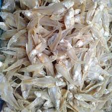Beli ikan asin bulu ayam online berkualitas dengan harga murah terbaru 2021 di tokopedia! Ikan Masin Kering Lawi Bulu Ayam
