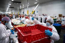 Send your job application and get a teen jobs in california now! Jobs Hiring 15 Year Olds In California Iklan Yoda