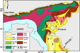 Doğal ışık kaynaklarına örnek ise güneş,ateş böcekleri, fener balıklarını söyleyebiliriz. A Multi Disciplinary Overview Of Factors Controlling On Meiofauna Assemblages Around Maden And Alibey Islands In Ayvalik Balikesir Eastern Aegean Sea Sciencedirect