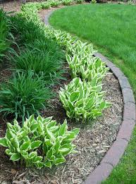 Pin By Claudia Duncan On Too Many Pins Easy Landscaping Front Yard Landscaping Design Backyard Landscaping Designs