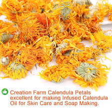 For the purpose of making calendula soap, i chose to use pomace olive oil. Buy Plant Gift Herbal Calendula Tea Chinese Flower Tea 100 Natural Marigold Health Calendula Flowers Dried Organic Lose Weight Popular 35g 1 23oz Online In Turkey B07n51zp38