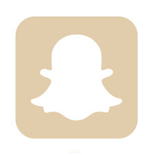 Snapchat Icon Beige Iphone Wallpaper App Wallpaper Iphone Boho Snapchat Icon