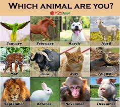 Sign In Month Animals Animals Cute Animals