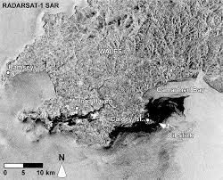 Cactus needles draw moisture to the plant, just like the new material draws in oil droplets from the water (photo: Tracking Oil Slicks And Predicting Their Trajectories Using Remote Sensors And Models Case Studies Of The Sea Princess And Deepwater Horizon Oil Spills