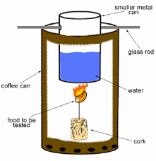 Burning Calories How Much Energy Is Stored In Different Types Of Food Science Project Science Projects For Kids Science Fair Projects Science Fair