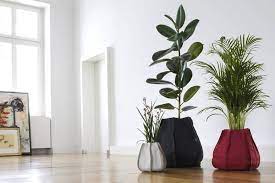 Vasi Design Per Piante Da Interno Urban Garden Arredare Con Stile Giardinaggio Urbano Piante Da Interno Piante