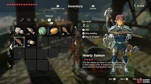 Salmon with mustard and cream sauce recipe , salmon is reach in omega fatty acids, source of protein ,super food and so on. Recital At Warbler S Nest Shrine Quests Quests The Legend Of Zelda Breath Of The Wild Gamer Guides