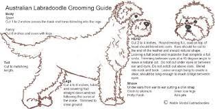 Pet grooming clipper blade chart whether you have just one dog or cat, or you're a professional dog groomer, you know how important it is to keep your pet clean and groomed. 26 Labradoodle Grooming Ideas Labradoodle Grooming Grooming Labradoodle