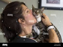 Barbara Doty, cat rescuer and founder of the nonprofit LapCats, kisses one  of her foster cats, a playful brown tabby named "Minette" who is up for  adoption, Wednesday, Dec. 22, 2015 in