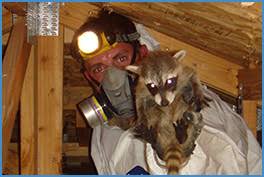 Pest Animal Removal Cornelius, NC