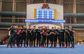 United states of america gymnastics (usa gymnastics or usag) is the national governing body for gymnastics in the united states. Men S Gymnastics Captures Second Straight National Championship The Stanford Daily