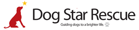 Adoption appointments are only available to approved applicants. Dog Star Rescue Dogs For Adoption Rescue Dogs Hartford Ct
