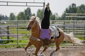 Heartland Trick Riding Riding Bull Riding