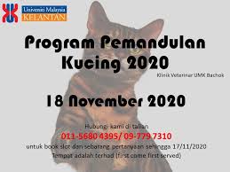 523 likes · 10 talking about this · 3 were here. Klinik Veterinar Umk Kvumk Home Facebook