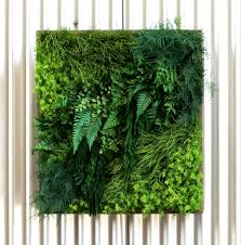 Learning how to grow moss is a fun and easy project. Moss Wall Art Residental Commercial Artisan Moss