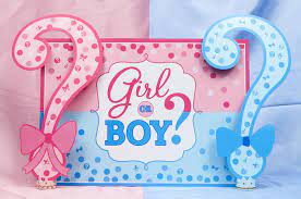 Gender Reveals | Know Your Meme
