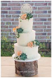 Rustic Weddingcake With Succulents Succulent Wedding Cakes Succulent Wedding Succulent Cake