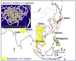 We did not find results for: Current Situation Of Human Taenia Asiatica Taeniosis In Japan Parasitology International X Mol