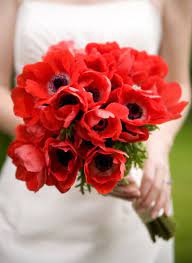Dans le langage de fleurs, le coquelicot possède plusieurs signification, selon si. Show Stopping Red Poppy Bouquet By Great Wedding Pics On Wedding Pics Bouquet Mariee Coquelicot Bouquet Mariee Rond Bouquet De Mariage