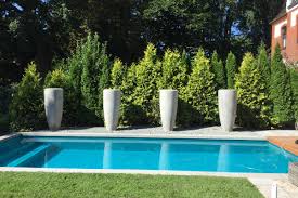 Da sie zu schwer zum tragen sind, werden sie mit dem kran. Garten Mit Pool Bremen Knolle Harpstedt