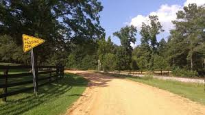 Coronavirus confirmed in dothan, al nursing home (wtvy.com). The Floribama Florida Alabama Gravel Cycling Weekend Gravel Cyclist The Gravel Cycling Experience