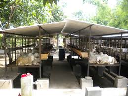 25 Desain Kandang Kambing Terbaik Terbaru Rekomendasi 2018 Ndik Home Di 2020 Kambing Desain Kandang