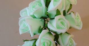 We did not find results for: Colourfast Foam Rose Buds Mint Green 12 Pack R634 U2