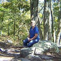 At the Crossroads: A Novel by B.J. Daniels